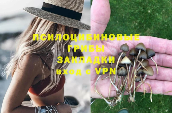 ПСИЛОЦИБИНОВЫЕ ГРИБЫ Белокуриха