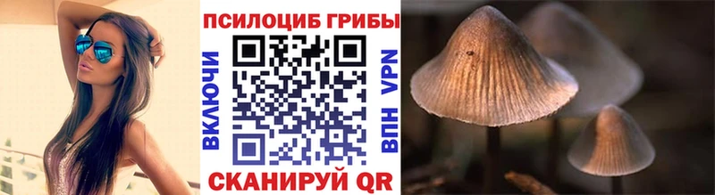 Галлюциногенные грибы ЛСД  Печора 